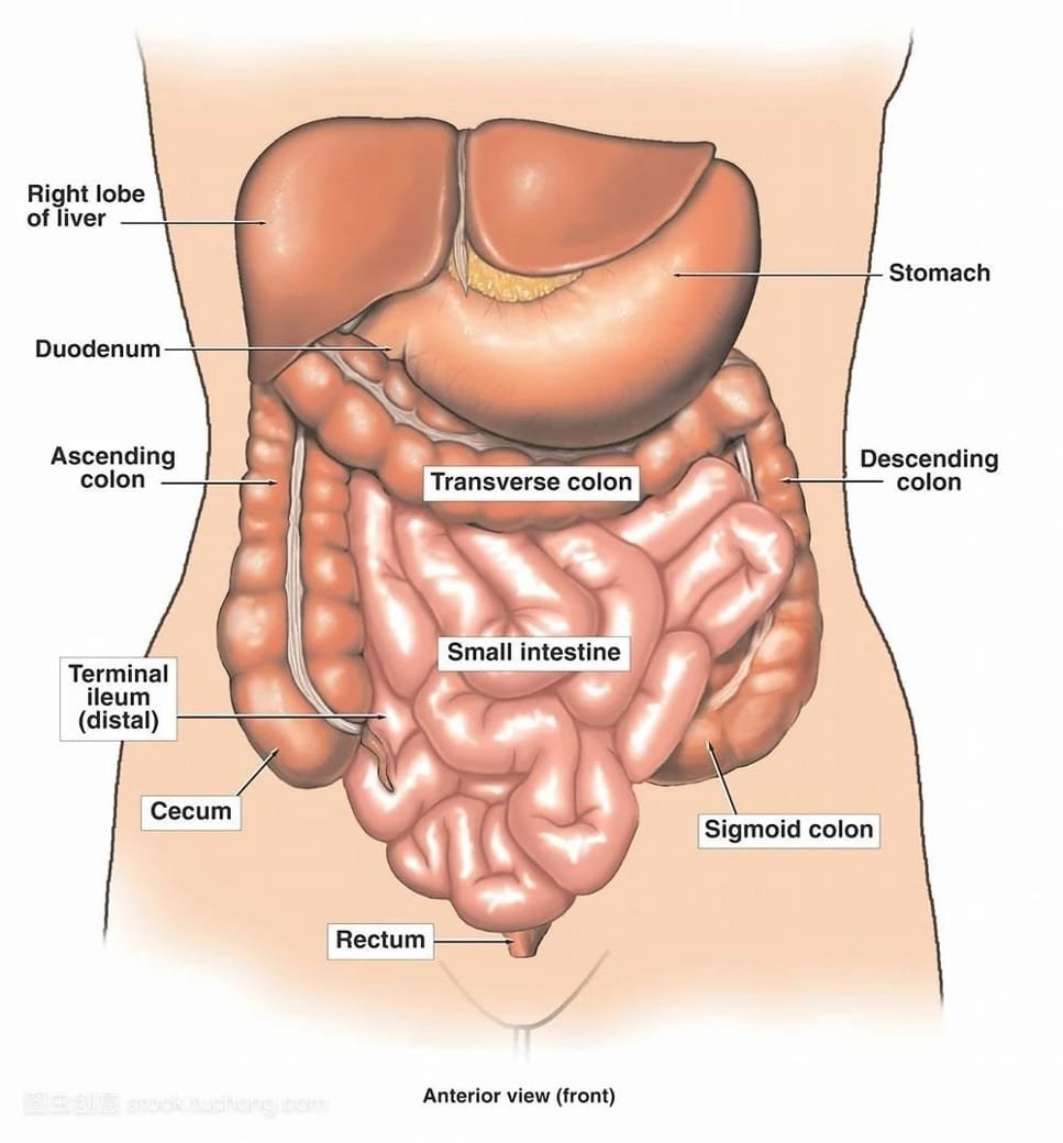 how often can you do a colon cleanse