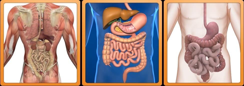 colonic irrigation hydrotherapy machine