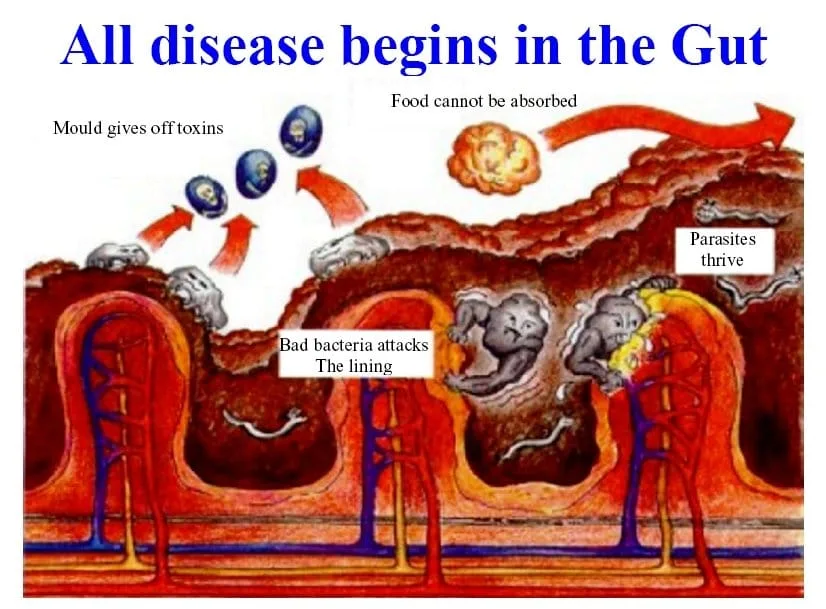 Colon Hydrotherapy Session
